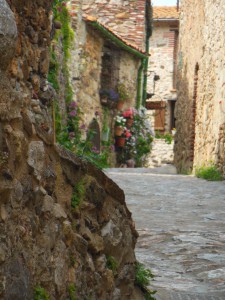DSCN5162