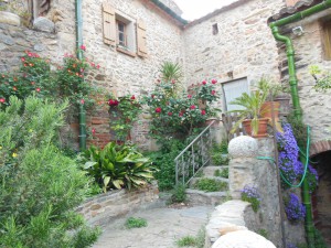 DSCN5164